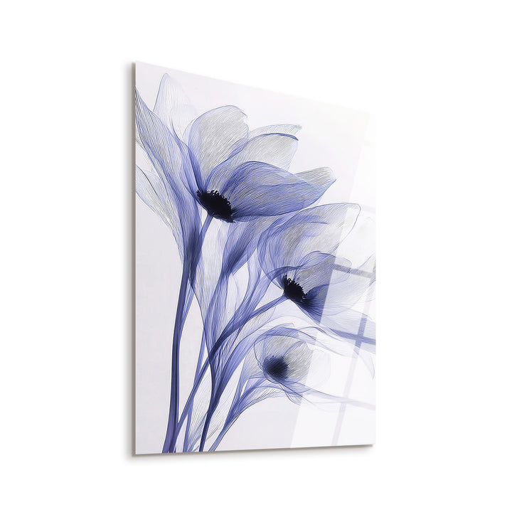 Blue Veil