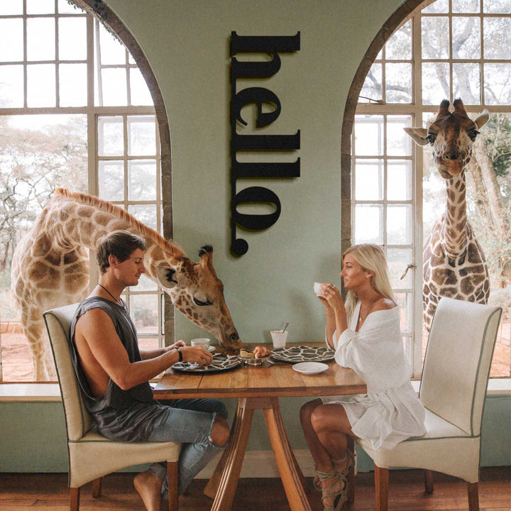 Hello - APT101 - FIRSAT