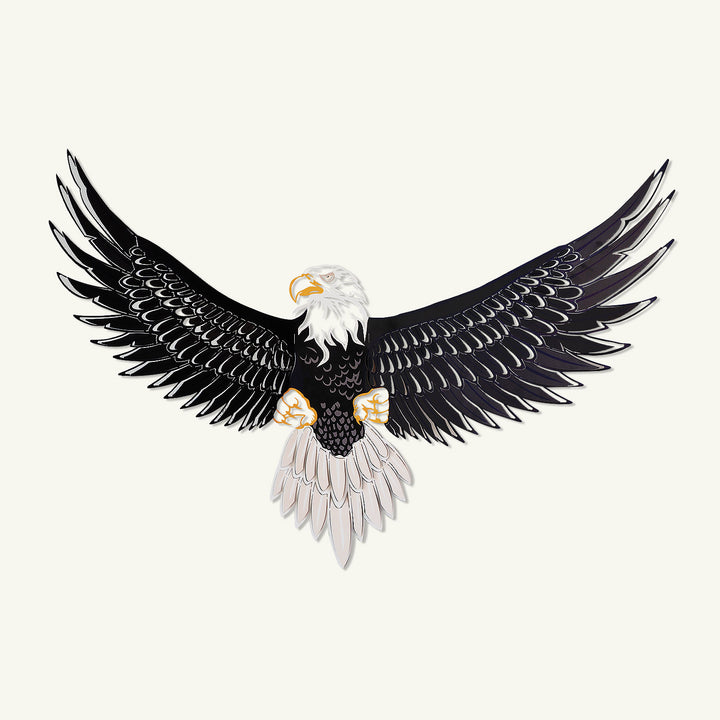 Kartal Renkli Tablo (Colorart) Modelleri